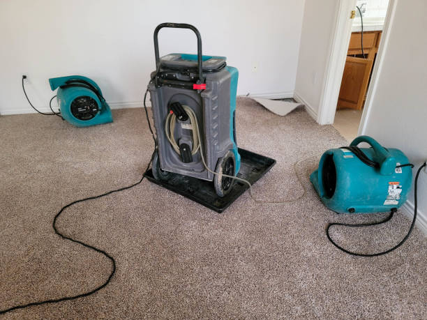 Best Water damage restoration near me  in Tylertown, MS
