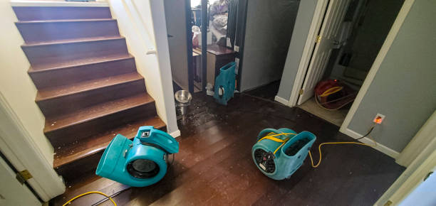 Best Commercial water damage restoration  in Tylertown, MS
