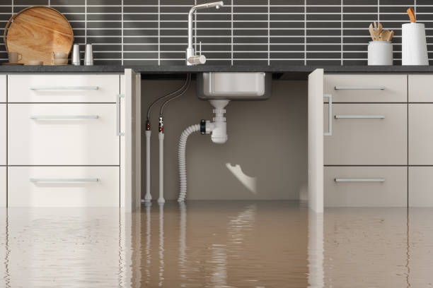 Best Residential water damage restoration  in Tylertown, MS