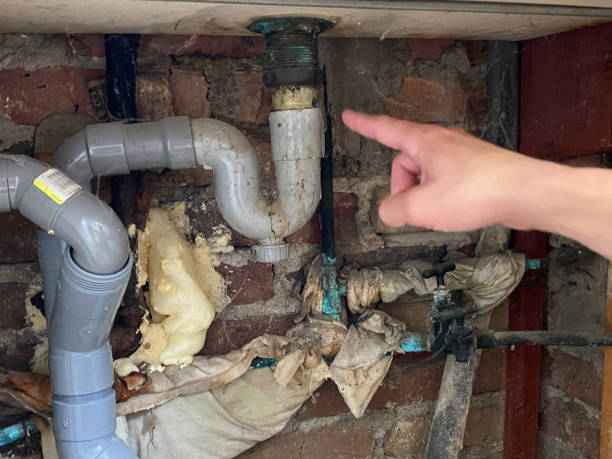 Best Fire Damage Restoration  in Tylertown, MS