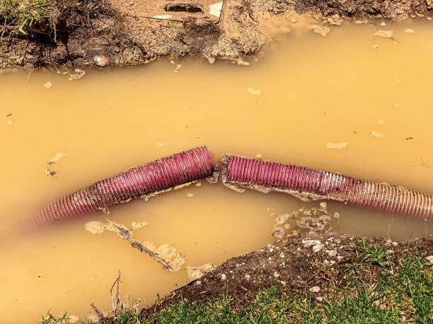 Best Water damage restoration near me  in Tylertown, MS